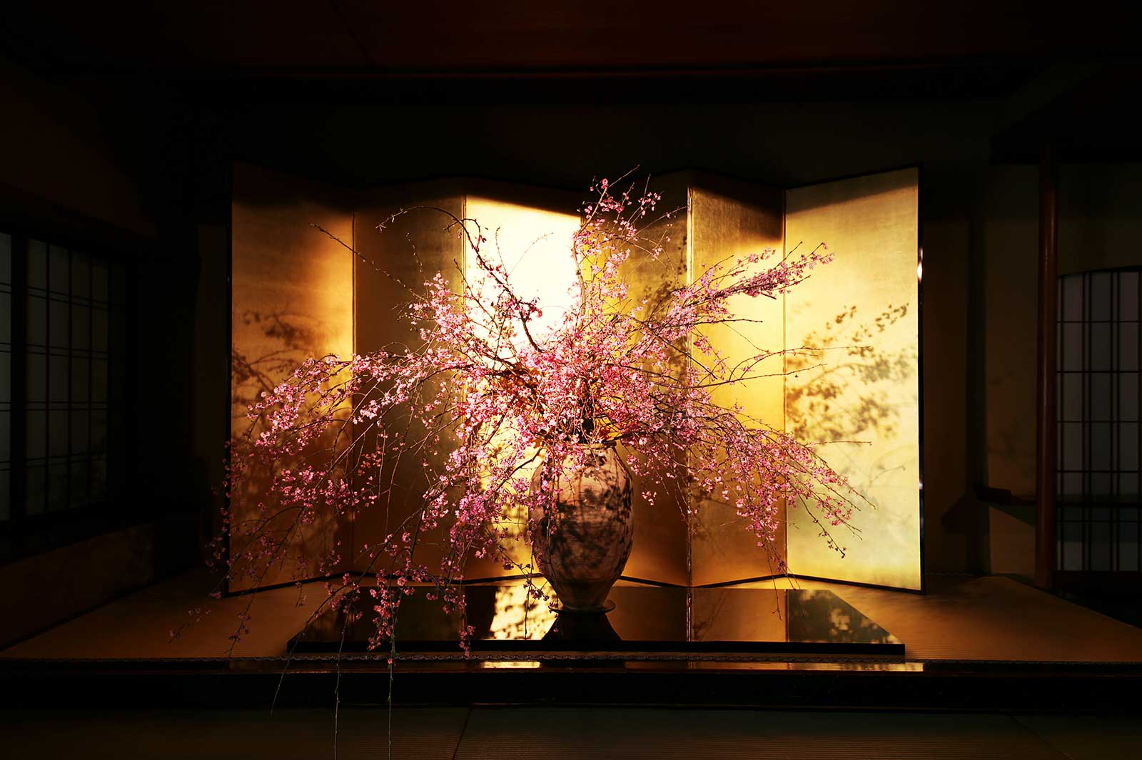 桜の公開生け込み